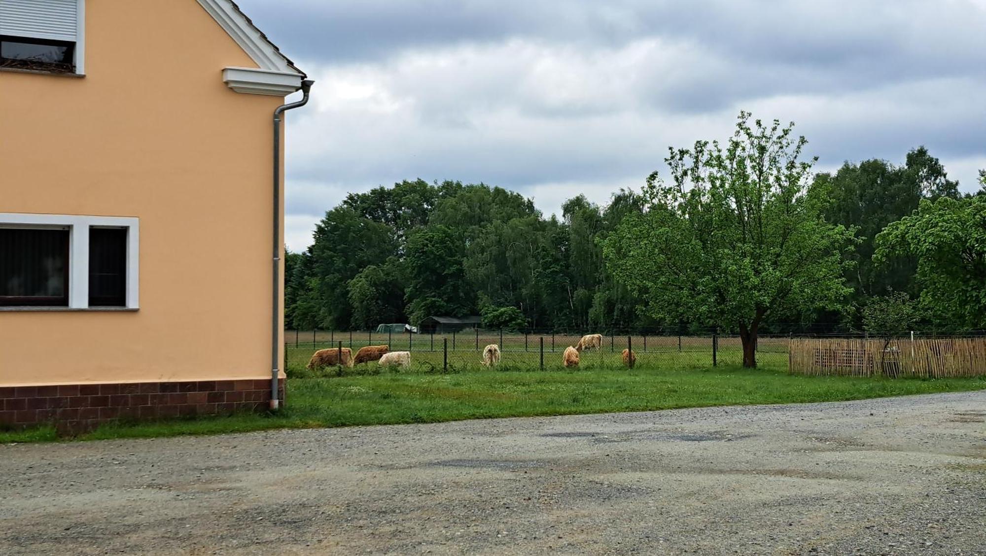 Ferienwohnung Am See Kromlau Екстер'єр фото